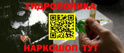 твердый Будённовск