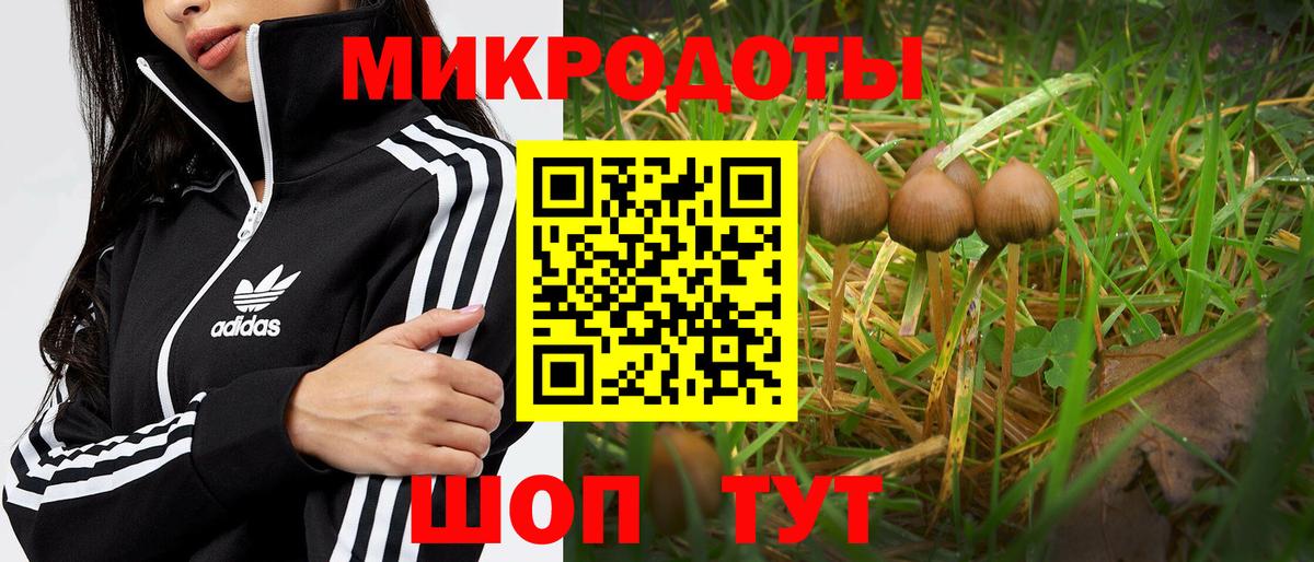 Псилоцибиновые грибы Psilocybe  Вход с VPN  Нефтекамск 